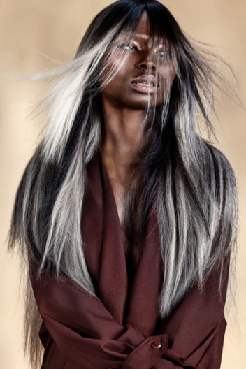 EVOKE Collection