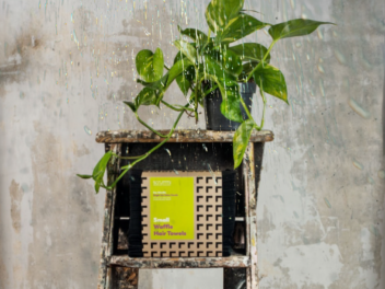 Scrummi Raises the Bar with B Corp Recertification