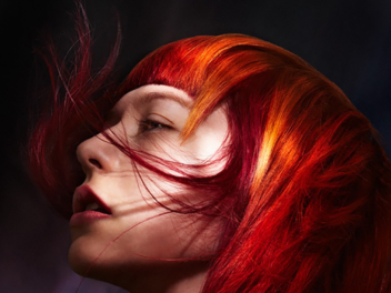 Mood Launch Bid to Find New Art Team Members to Join Mood Lifestyle