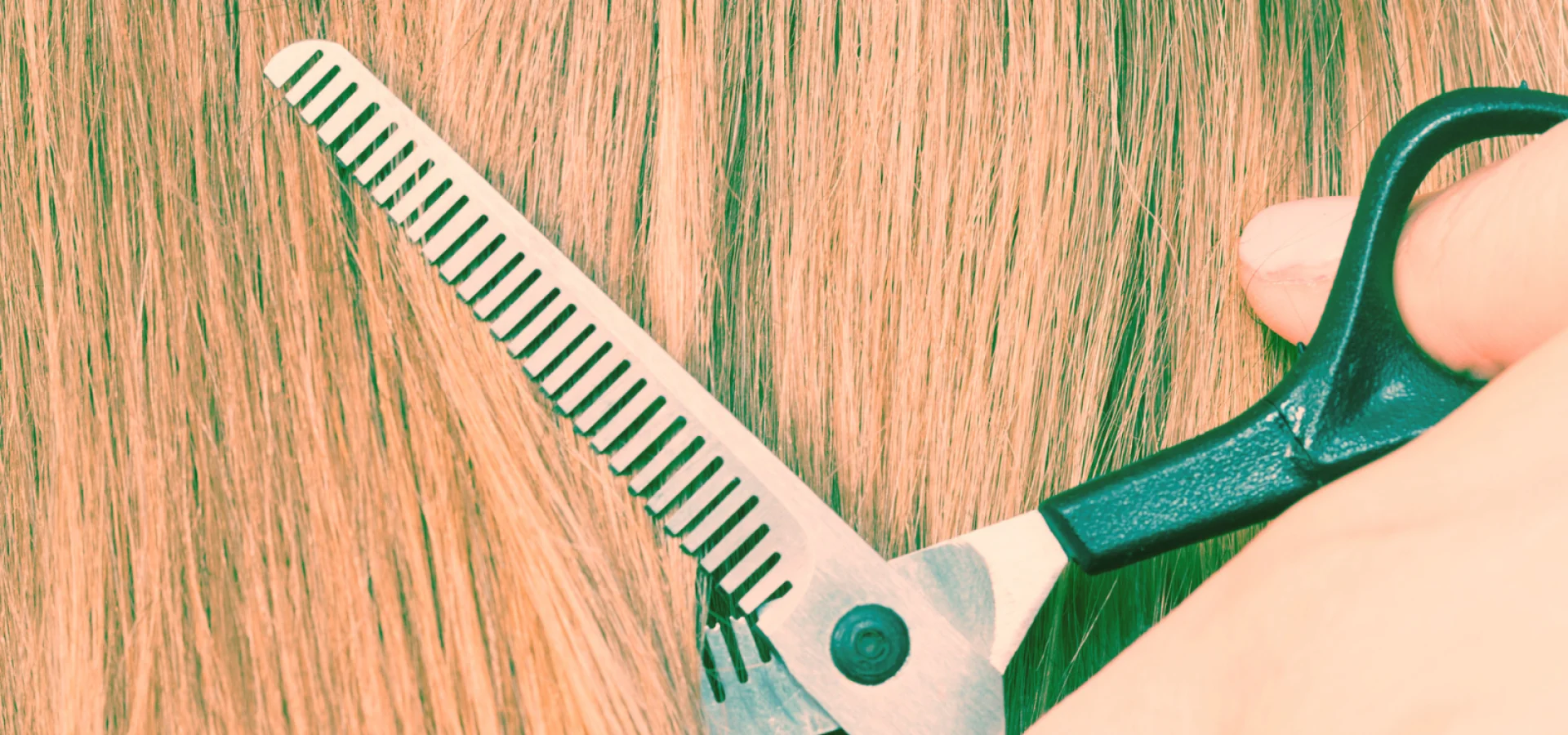 Close up of scissors cutting hair.