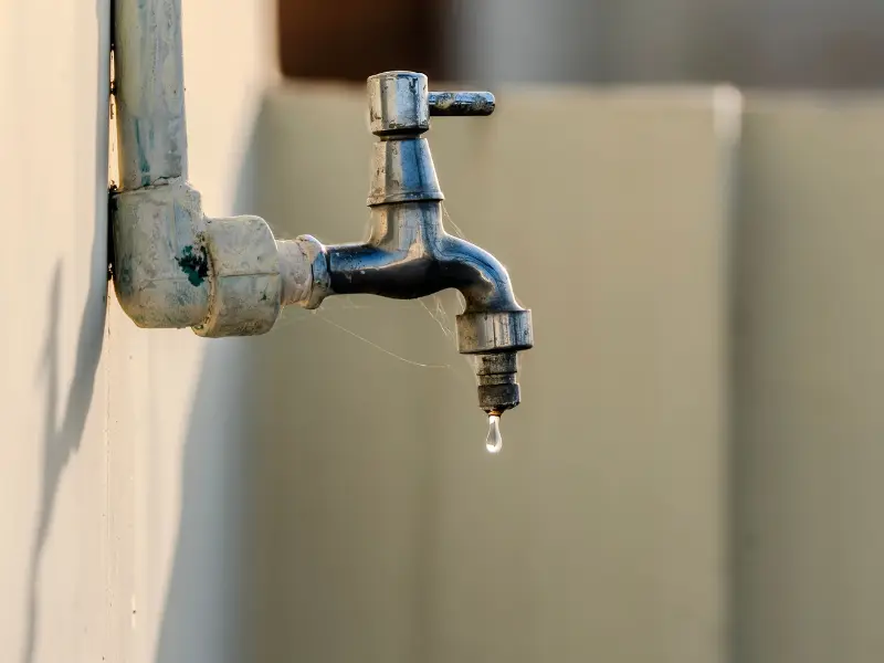 A tap on an outside wall leaks, wasting water.