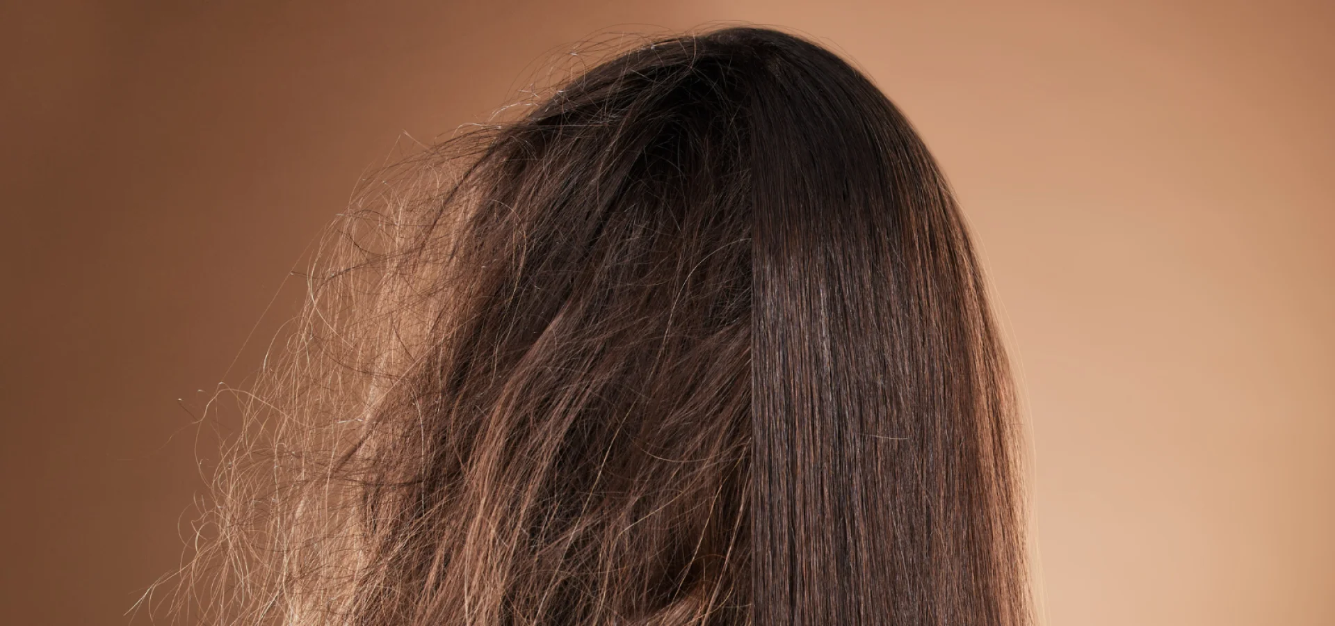 Long brown damaged hair.