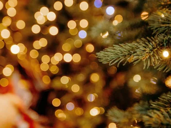 Close up of a Christmas tree next to fairy lights.